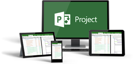 Microsoft Project Training online